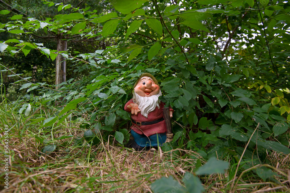 Funny garden gnome in a green garden.