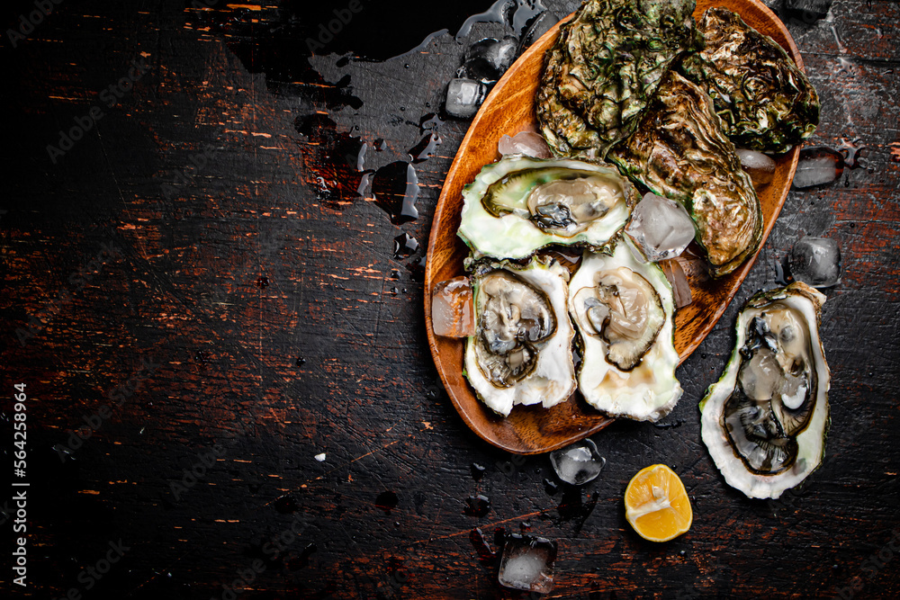 Fresh oysters with ice on a wooden plate. Fresh oysters with ice on a wooden plate.