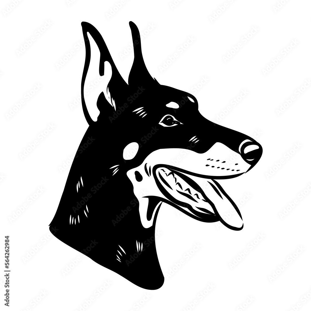 Doberman, dog, black and white vector illustration. Portrait. The head of a domestic animal. Tattoo. Clipart, laser cutting. Stock image isolated on white background.