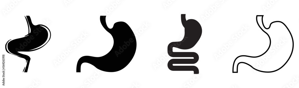 A set of Human stomach vector logo on white background. Set of Digestive tract vector icon illustration isolated on white background.