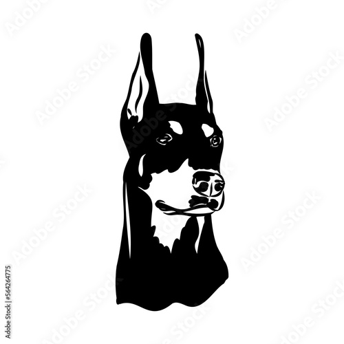 Doberman, dog, black and white vector illustration. Portrait. The head of a domestic animal. Tattoo. Clipart, laser cutting. Stock image isolated on white background.