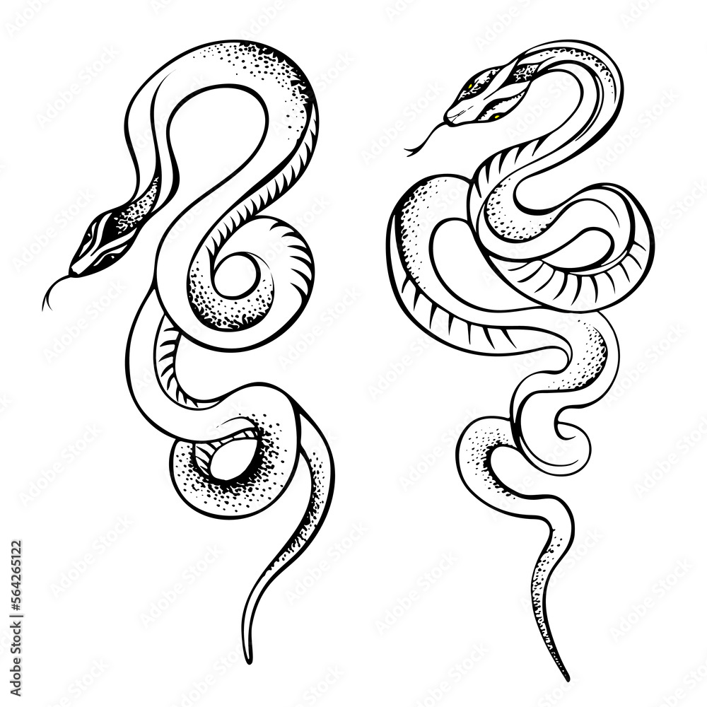Vector illustration of snakes, icon, sketch of an artistic tattoo, logo, hand drawing, contour drawing of a snake Vector illustration of snakes, icon, sketch of an artistic tattoo, logo, hand drawing, contour drawing of a snake