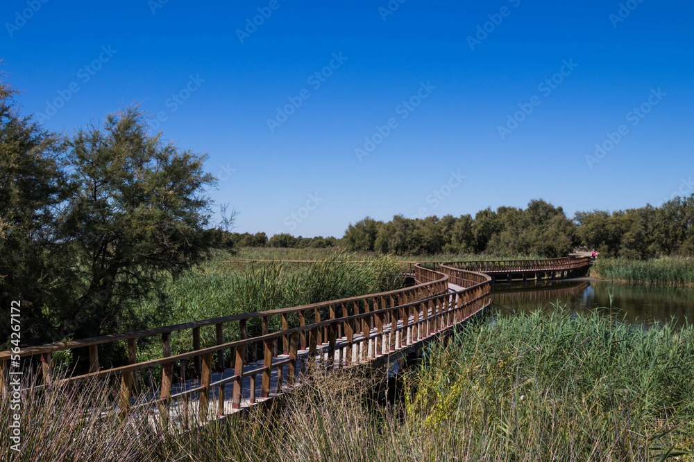 Landscape in Las Tablas de Daimiel National Park, Ciudad Real, Castilla La Mancha, Spain Landscape in Las Tablas de Daimiel National Park, Ciudad Real, Castilla La Mancha, Spain