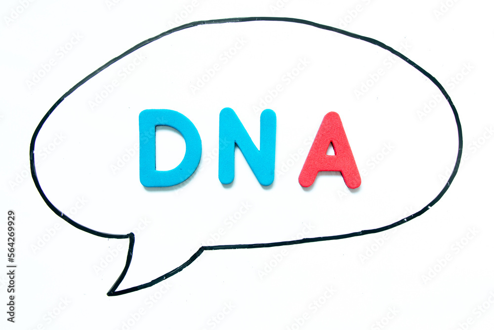 Alphabet letter with word DNA (abbreviation of Deoxyribonucleic acid) in black line hand drawing as bubble speech on white board background Alphabet letter with word DNA (abbreviation of Deoxyribonucleic acid) in black line hand drawing as bubble speech on white board background