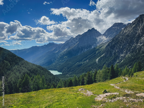 alpine meadow in the mountains