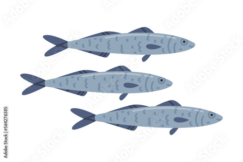 Herring or Sardine Fish as Seafood and Fresh Sea Product Vector Illustration