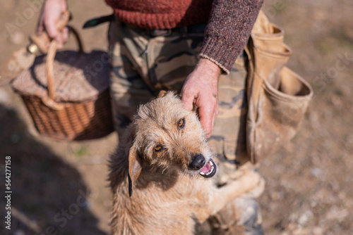 A brown dog is rewarded by a truffle farmer