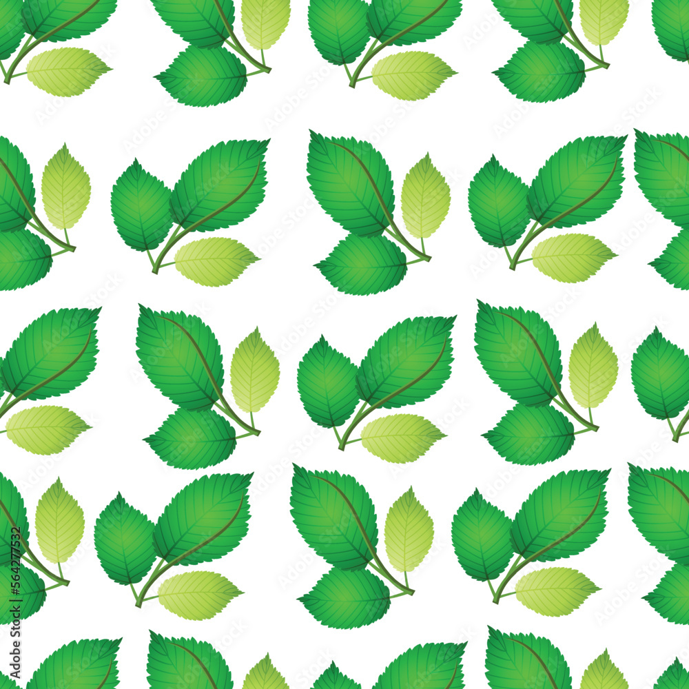 Seamless Pattern of floral leaf Background