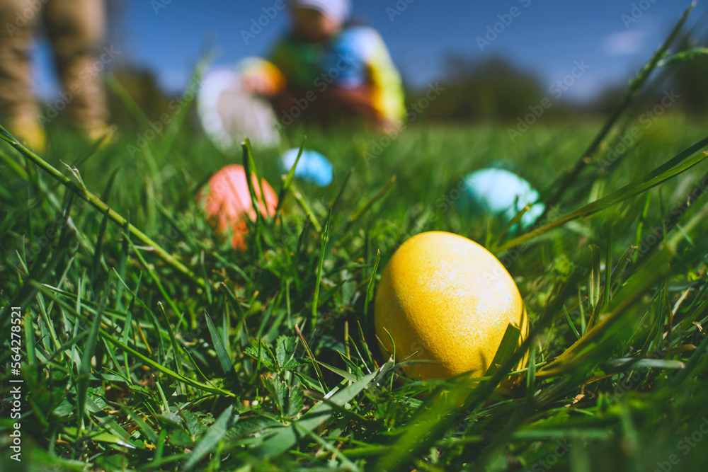 Fototapeta premium Easter eggs hunt background