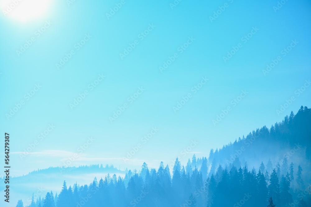 Obraz premium Mountain range with visible silhouettes through the morning blue fog.