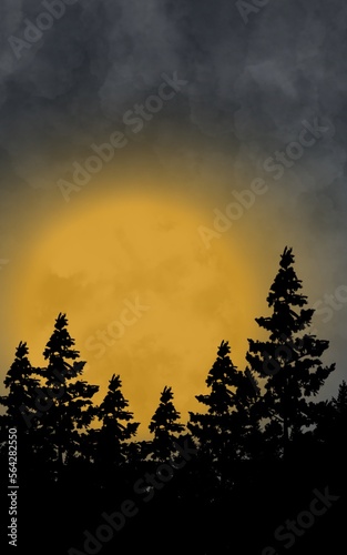 A moon out of trees at night on a cloudy day.