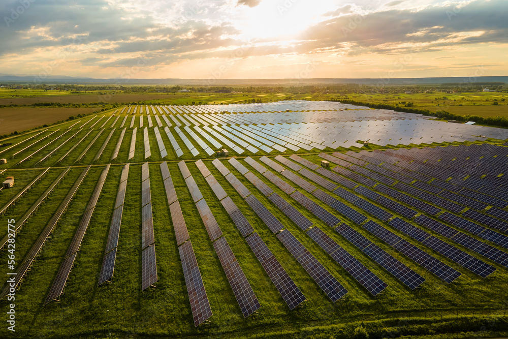 Aerial view of large electrical power plant with many rows of solar photovoltaic panels for producing clean ecological electric energy at sunset. Renewable electricity with zero emission concept - obrazy, fototapety, plakaty 