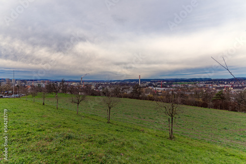 Orchard with apple trees, meadow and forest in the background at Swiss City of Zürich district Schwamendingen on a cloudy winter day. Photo taken January 14th, 2023, Zurich, Switzerland.