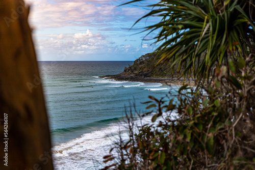 panorama of noosa national park at sunset; group of surfers surfing in the paradise bay in queensland, australia photo