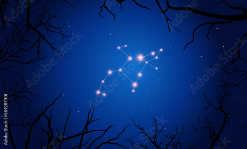 Illustration  of Perseus constellation. Bright constellation in open space  blue sky. Starry sky behind tree silhouette