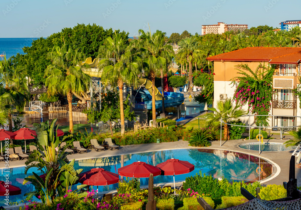 Palm trees and swimming pool in hotel in south Turkey