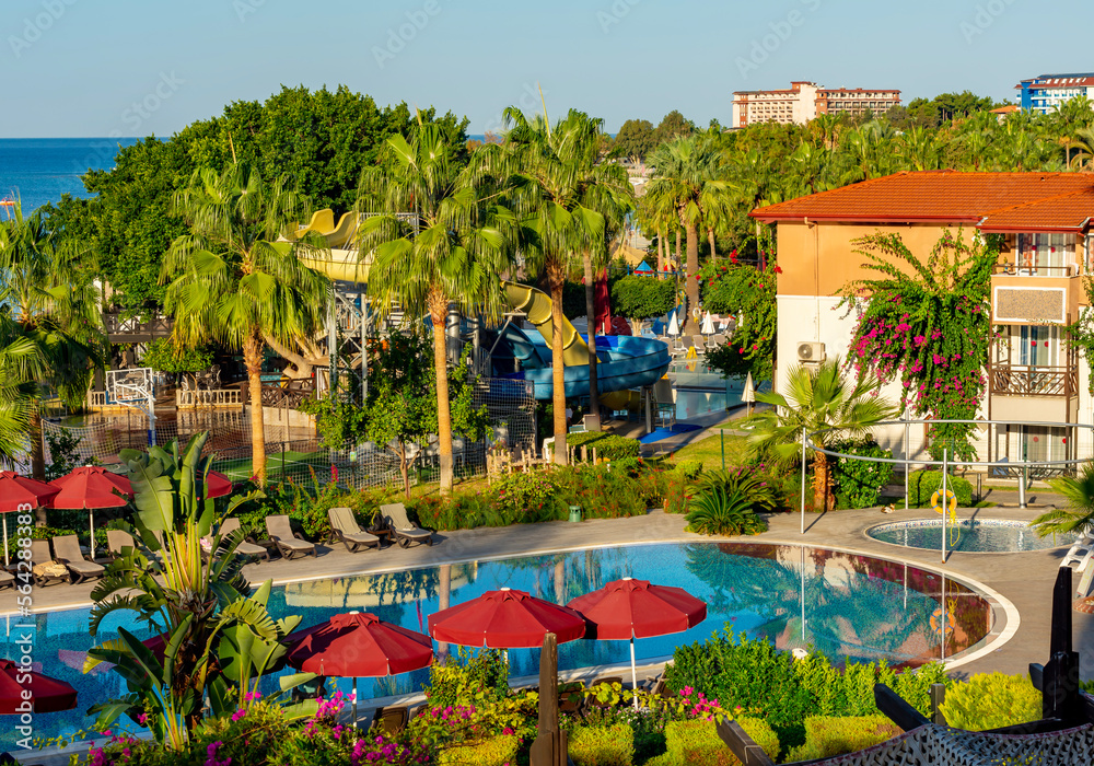 Fototapeta premium Palm trees and swimming pool in hotel in south Turkey