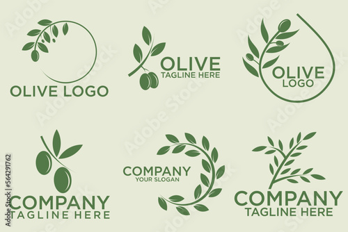 olive branch logo design with 6 options