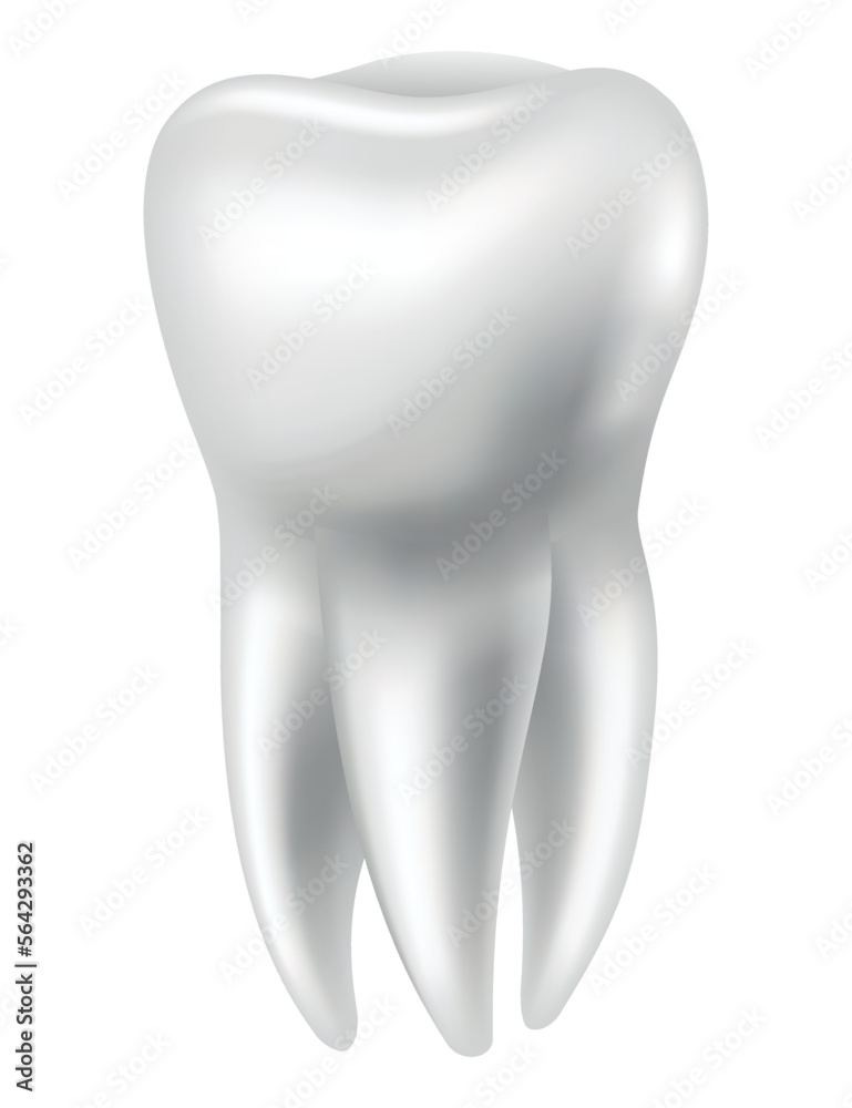 Tooth anatomy. Medical banner or poster illustration. Realistic white tooth mockup. Vector dental symbol. Healthy white tooth Tooth anatomy. Medical banner or poster illustration. Realistic white tooth mockup. Vector dental symbol. Healthy white tooth