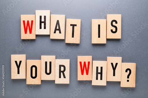 What is Your Why? by alphabets wood blocks on gray background, existence of personal life, motivation concept