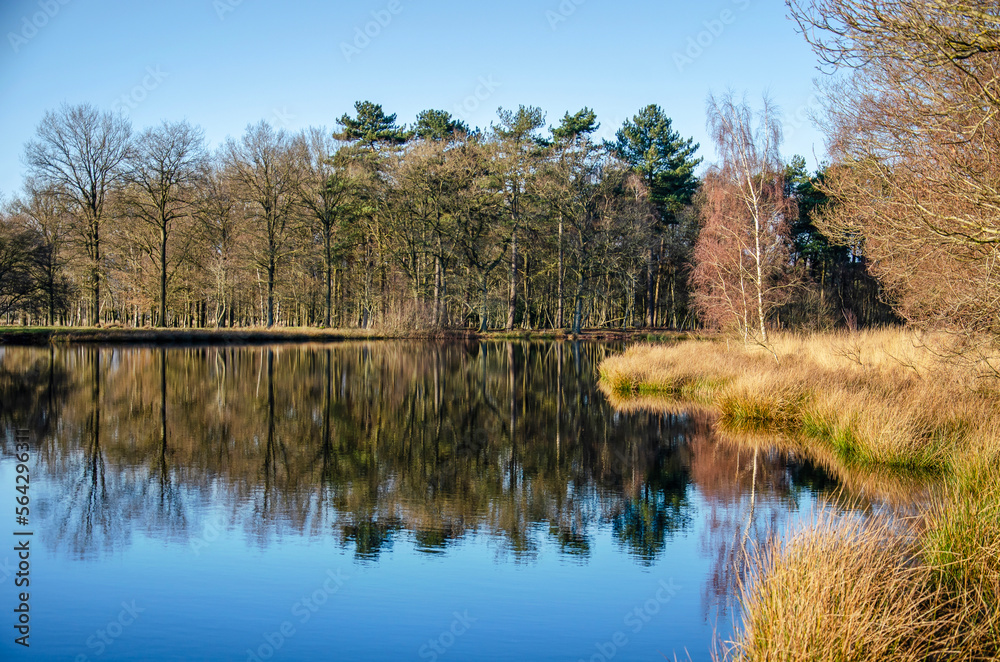 Fototapeta premium Complete absence of wind as well as partial ice cover creating a reflective surface on a lake, surrounded by trees and bushes near Dwingelo, The Netherlands