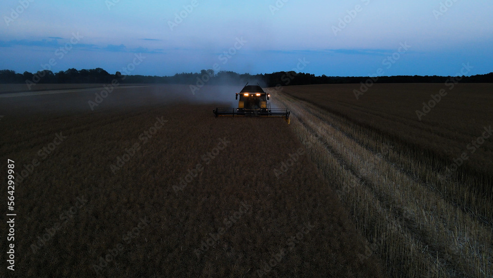 Harvester collects ripe wheat. Ripe ears of gold field at sunset against a cloudy orange sky background. . The concept of a rich harvest. Image of agriculture Harvester collects ripe wheat. Ripe ears of gold field at sunset against a cloudy orange sky background. . The concept of a rich harvest. Image of agriculture