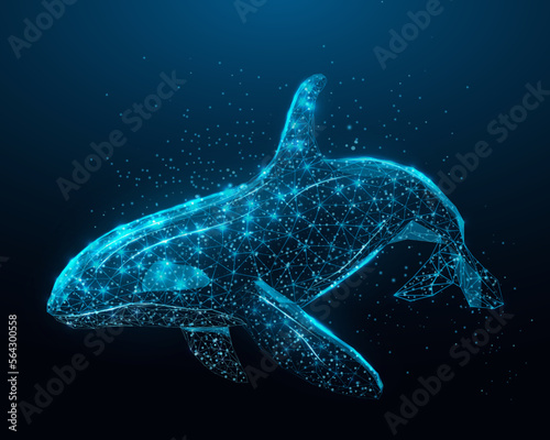 Killer whale. Wireframe glowing low poly Orca whale. Design on dark blue background. Abstract futuristic vector illustration