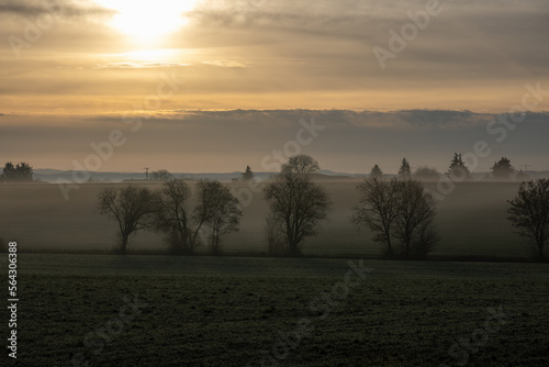 Deserted wintry landscape at sunrise with fog  hoarfrost  trees and fields