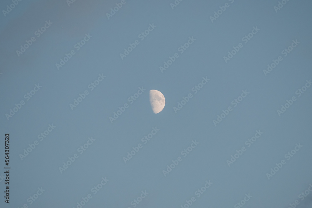 Half moon in twilight blue sky Half moon in twilight blue sky