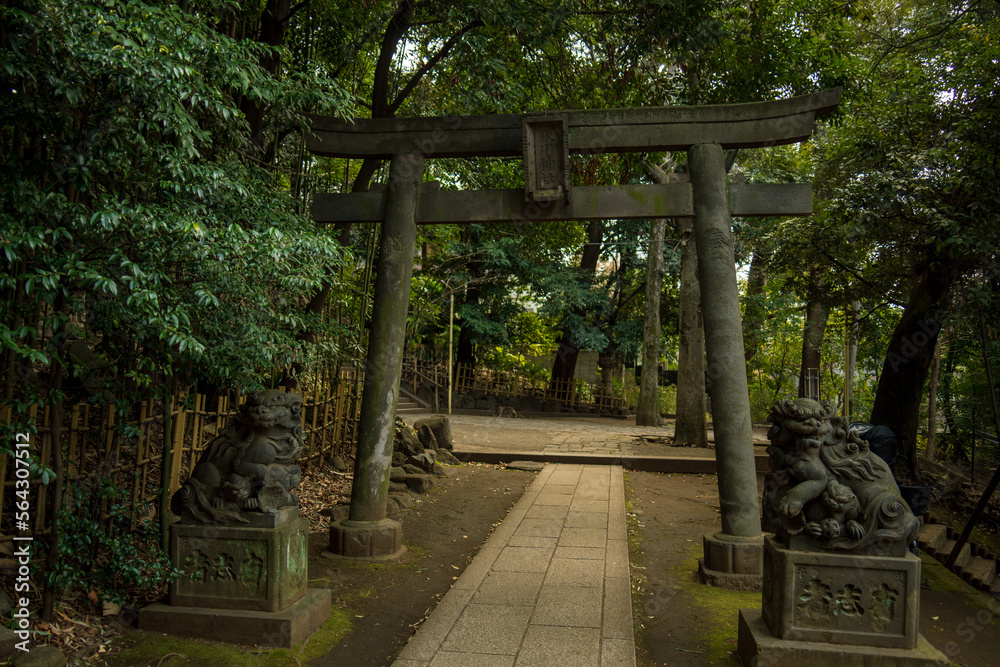 神社の鳥居と狛犬