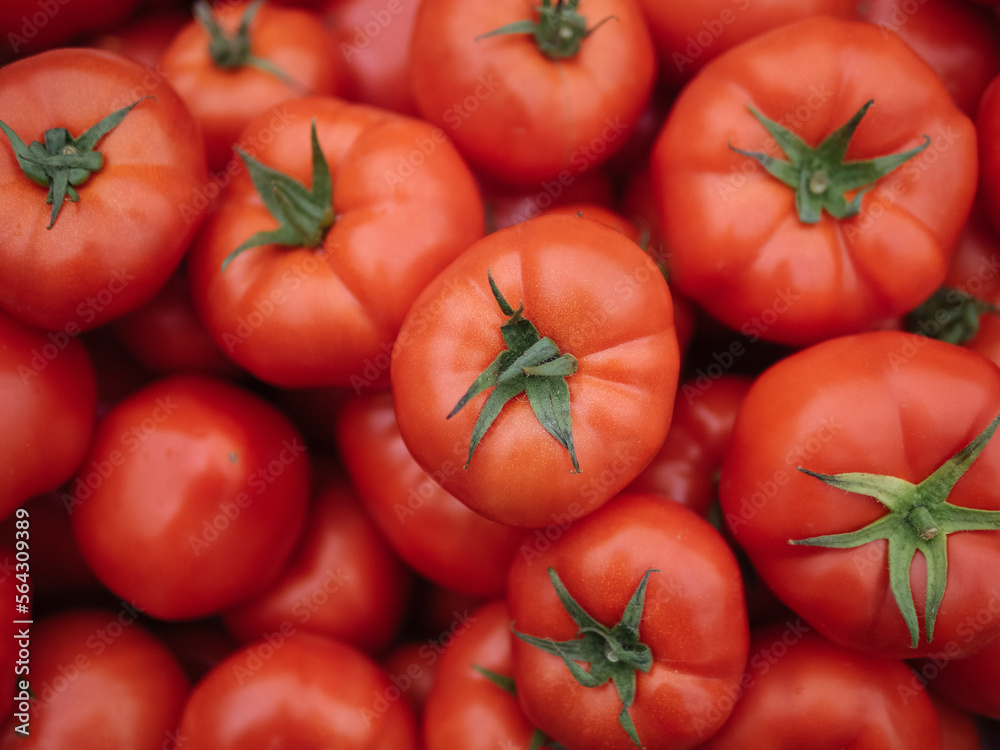 Set of fresh tomatoes in box Set of fresh tomatoes in box