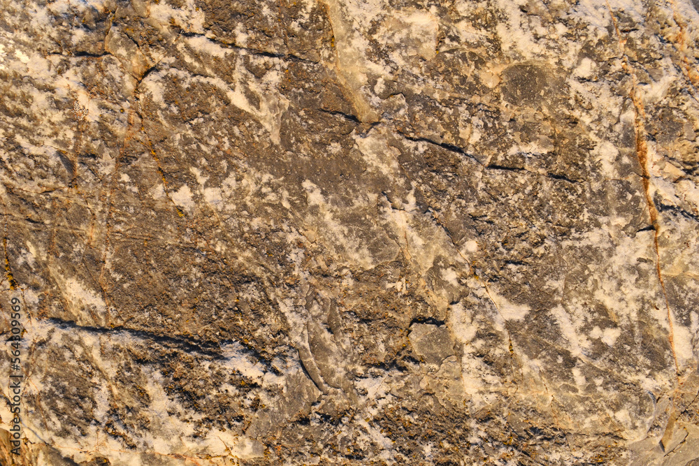 texture of stone texture of stone