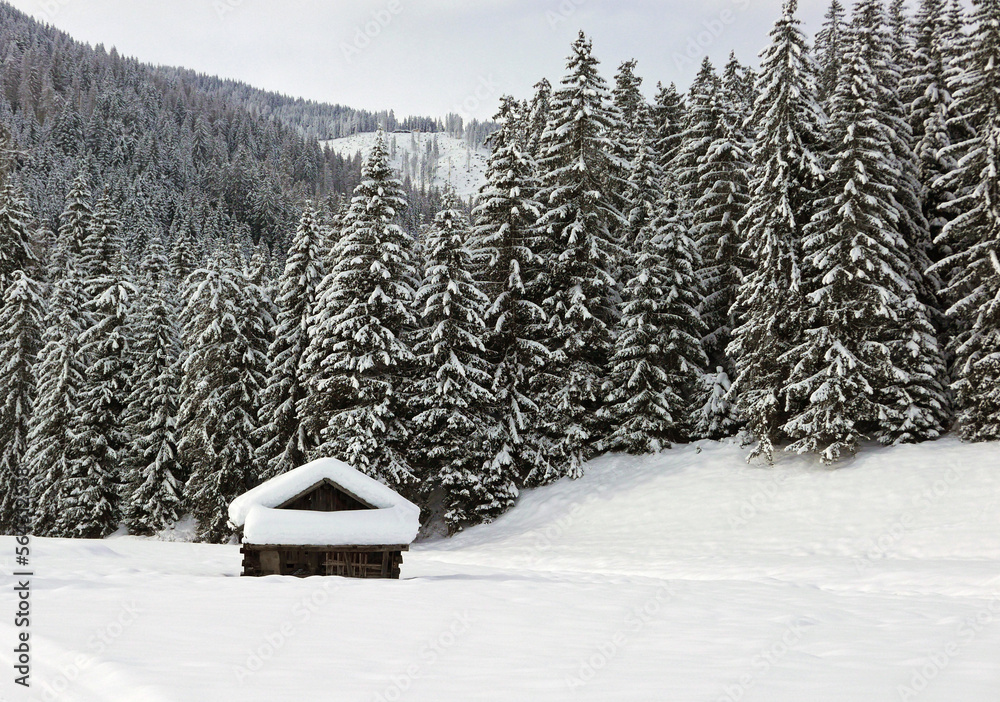 bellissimo panorama invernale innevato in Alto Adige