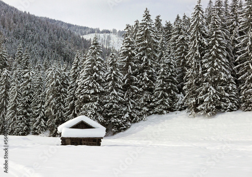 bellissimo panorama invernale innevato in Alto Adige © tiziana