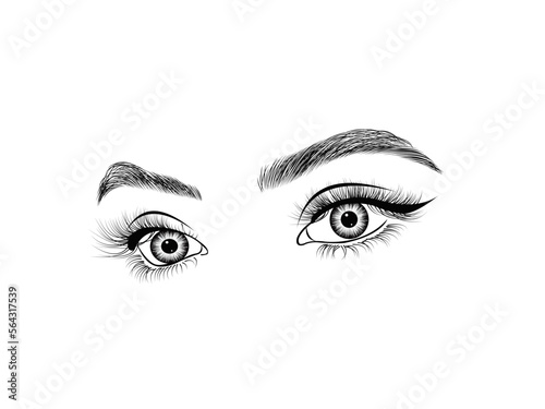 Illustration of eyelashes on white background