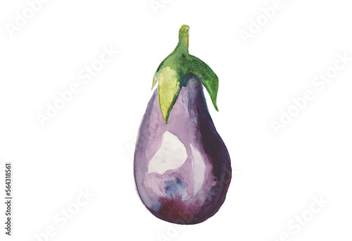 Watercolor of an eggplant