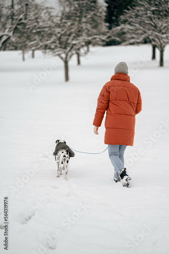Junge Frau in orangener Winterjacke geht mit Dalmatiner in Schnee während Winter spazieren Gassi