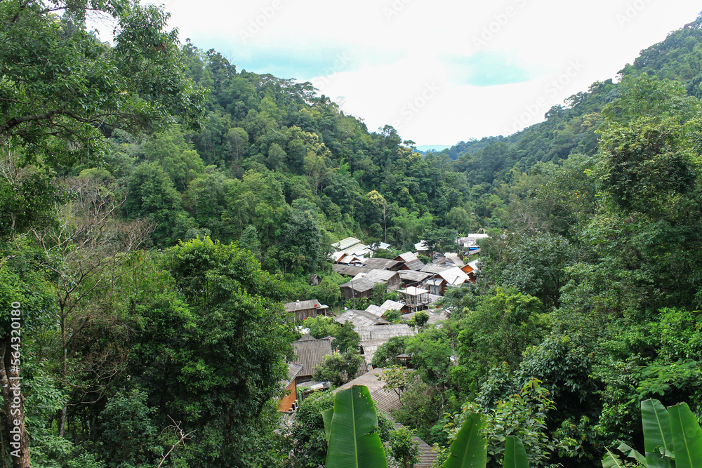 A small community in the big forest, Mae Kampong Village, Chiang Mai