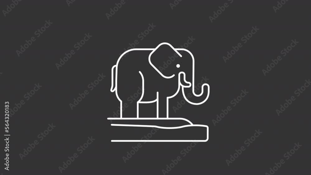 Animated elephant white line icon. Wild animal. Insecure creature. Dying fauna. Seamless loop HD video with alpha channel on transparent background. Motion graphic design for night mode Animated elephant white line icon. Wild animal. Insecure creature. Dying fauna. Seamless loop HD video with alpha channel on transparent background. Motion graphic design for night mode