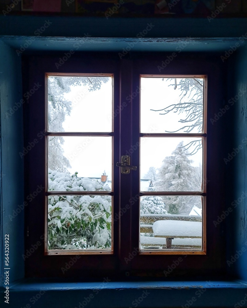 window in the window window in the window
