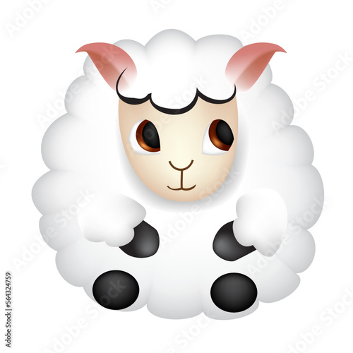 funny fluffy lamb with white curly fur, playing, farm lamb