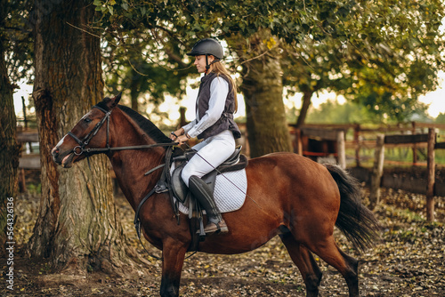 A young beautiful woman jockey is preparing for a show jumping competition. A woman rider rides a brown racehorse.