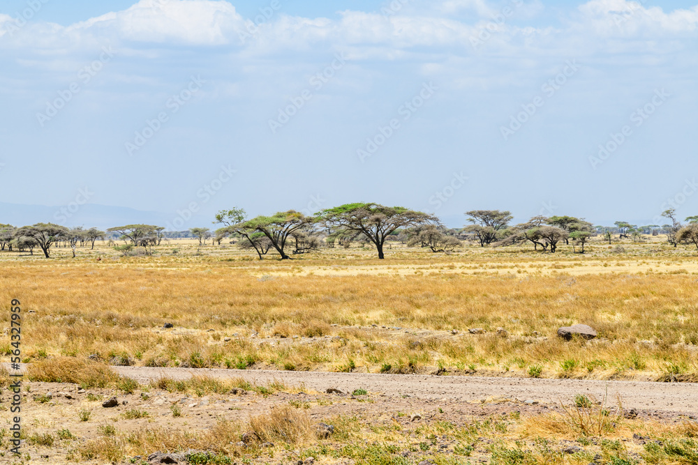 Beautiful landscape at the Ngorongoro conservation area, Tanzania