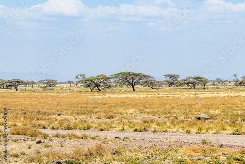 Beautiful landscape at the Ngorongoro conservation area  Tanzania