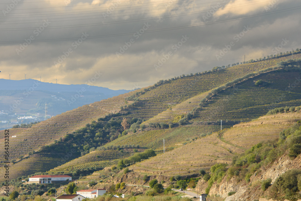 Landscape view of the beautiful douro river valley in Portugal. Miradouro Sebolido