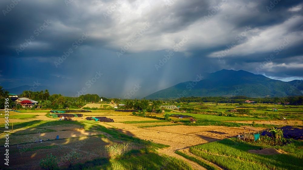 A rainstorm is set to fall during the day when the sun shines brightly.soft and selective focus.