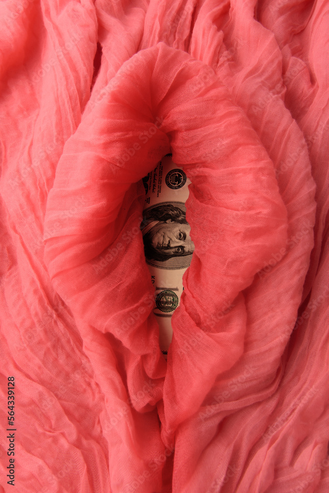 Soft folds of pink fabric in the shape of vagina and dollar banknote under it. Concept of prostitution, sexual slavery and human trafficking.