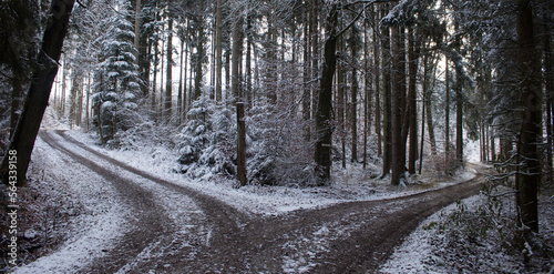 Weggabelung im leicht verschneiten Winterwald