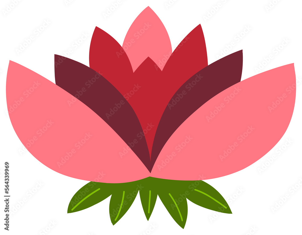 Obraz premium Lotus Flower