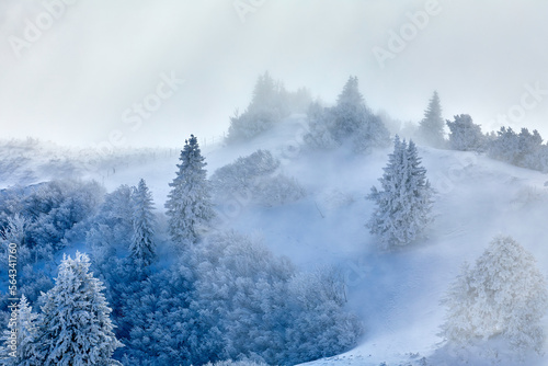Winterliche Landschaft mit viel Schnee im Gebirge